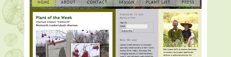 loomis-creek-cropped