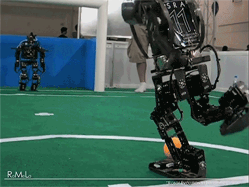 robot-soccer-goal