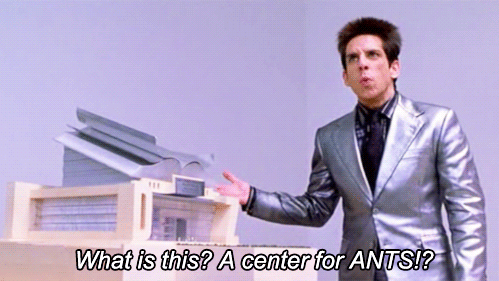 Zoolander, what is this a center for ants?
