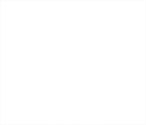 White LexisNexis logo on transparent background