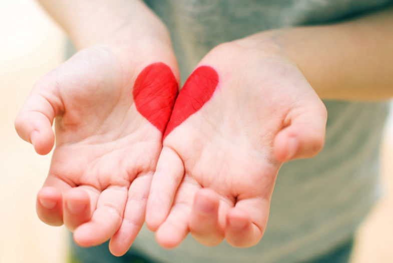 WordPress For Nonprofit