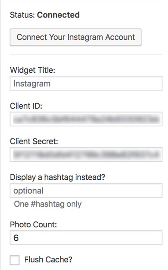 WordPress, Instagram, Widget