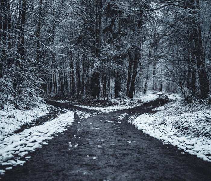 A photo image of a snowy road that forks into two different roads used for a blog post titled, "Paths to Learning Web Development."