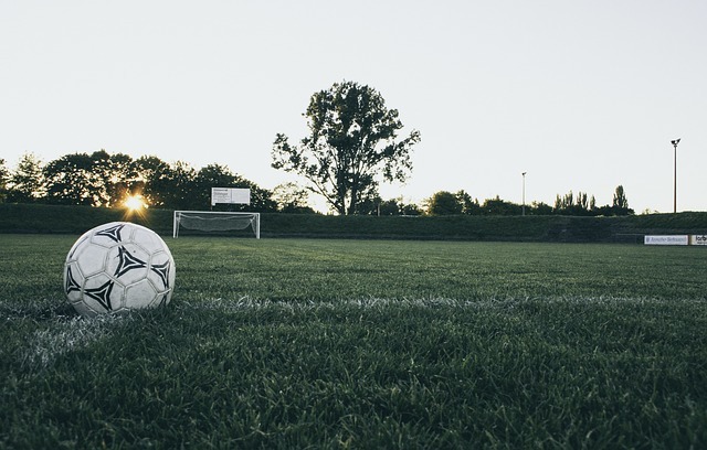 A photo image of a soccer ball sitting on a green playing field with the soccer goal sitting in the background.