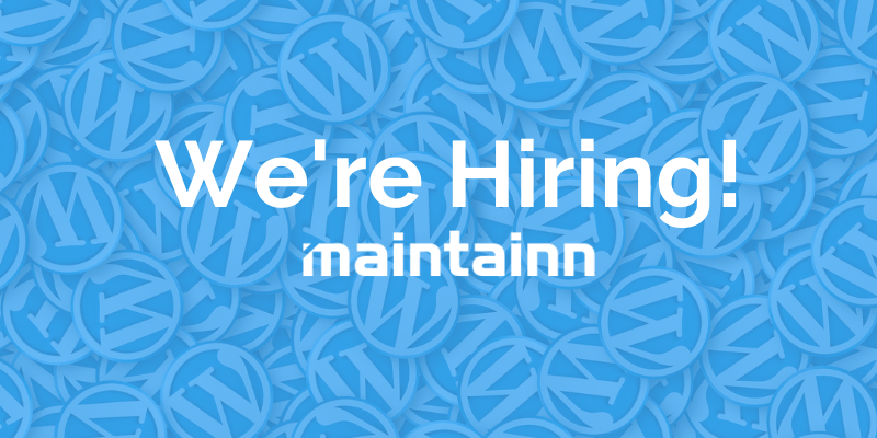 A graphic image of a blue background across a multitude of WordPress logo buttons and the words, "We're hiring!" written across the background with the Maintainn logo stacked beneath the words.