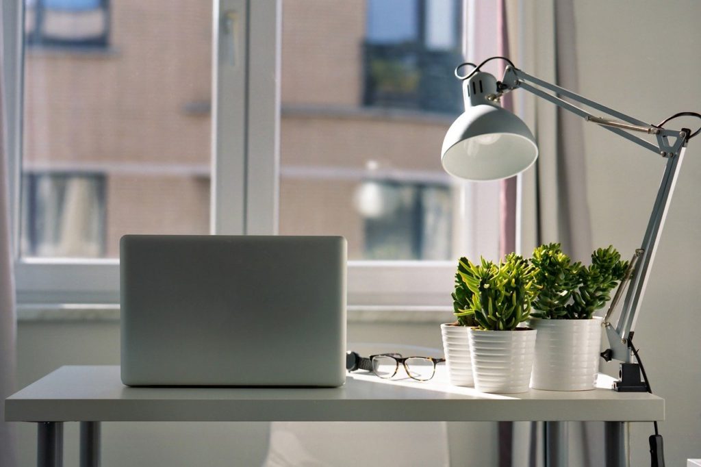 This is a photo of a an open laptop sitting on a desk with a lamp and three green plants sitting next to it.