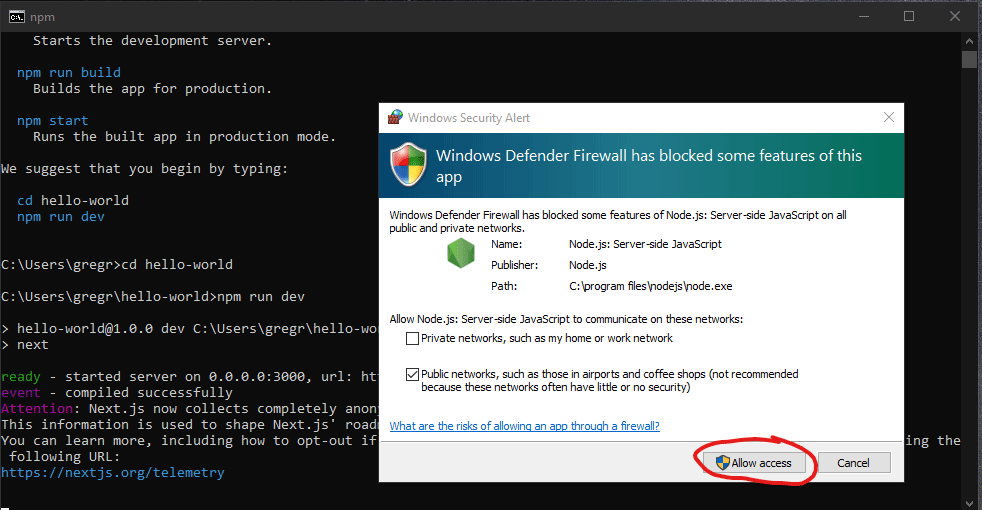 This is a screen grab of the Windows Security Alert pop up window. The "Allow access" button is circled in red.