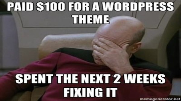 This is a meme of Captain Picard from Star Trek Next Generation with his head in his hand and the words, "Paid $100 for a WordPress theme, spent the next 2 weeks fixing it," across the image.
