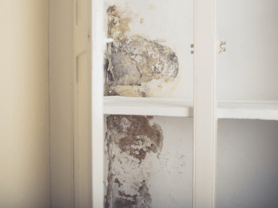 This is a photo of water damage and mold on a wall.